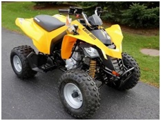 DS 250 Can-Am (Bombardier)