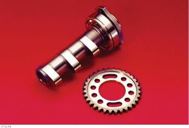 Hot cams™ camshafts