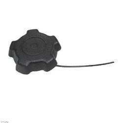 Spi replacement caps and gaskets