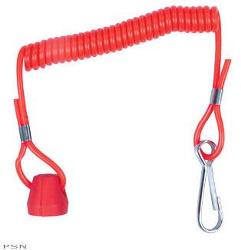 Safety tether switches