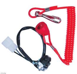 Safety tether switches