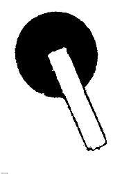 Windshield trim