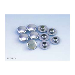 Allen head cap plugs