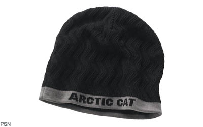 Arctic cat textured