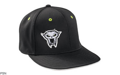 Team arctic flat brim cap