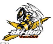 X-team killer bee decal.