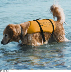 Pet pfd