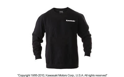 Logo crewneck sweatshirt