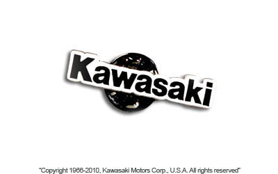 Metal logo pin