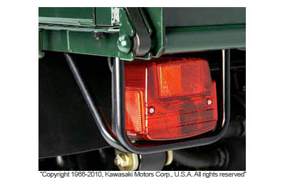 Tail lamp guards