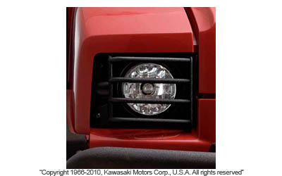 Headlight guards