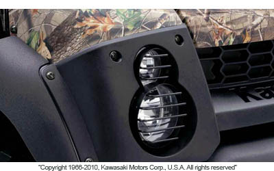 Head light guards