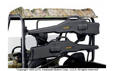 Rifle case and mount