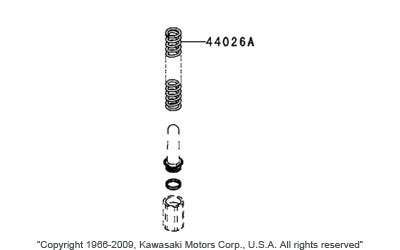 Front fork springs