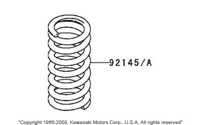 Rear shock springs