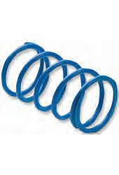 Epi clutch springs