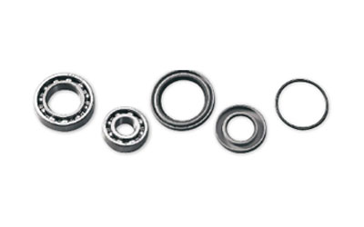 Epi bearings and seals