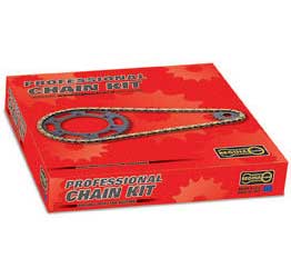 Regina chain chain and sprocket kits