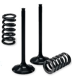 Pro x valve and spring kits