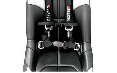 Beard seats harness system