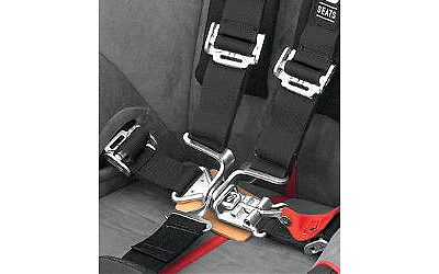 Beard seats harness system