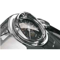 Show chrome speedo visors