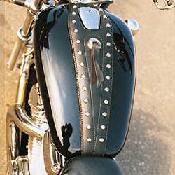 Mustang cruiser tank bibs