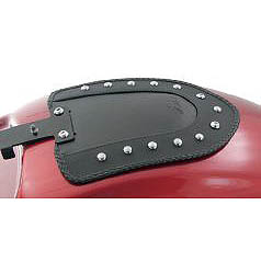 Mustang fender bibs