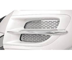 Show chrome accessories fairing side and radiator accents
