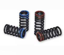 Cv4 valve spring kits