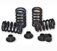 Cv4 valve spring kits