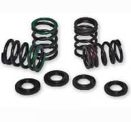 Cv4 valve spring kits