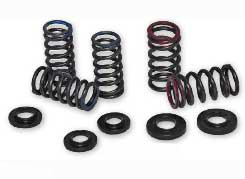 Cv4 valve spring kits