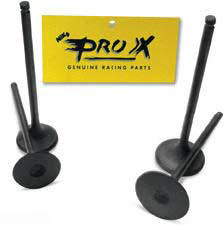 Pro x engine valves