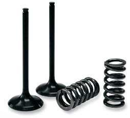 Pro x valve and spring kits