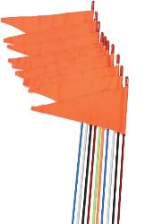 Firestik flags