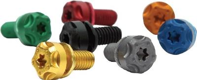 Two brothers racing torx screw kit
