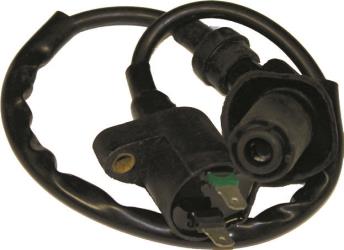 Outside distributing gy6 50cc 4-stroke ignition coil