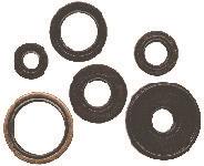 Winderosa oil seal sets