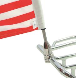 The pro pad stainless flag mounts