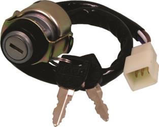 Emgo ignition switch assemblies