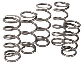 Speedwerx h5 alloy clutch springs