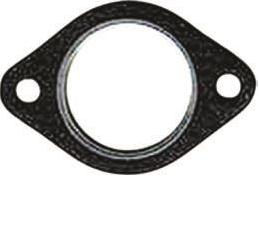 Winderosa exhaust gaskets