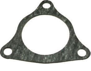 Winderosa exhaust gaskets