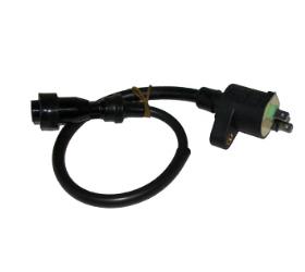 Outside distributing gy6 250cc ignition coil