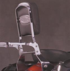 National cycle paladin backrest and luggage rack system
