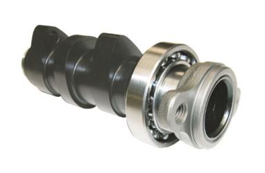 Hotcams camshafts