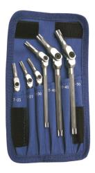 Motion pro star-pro pivot head torx wrench set