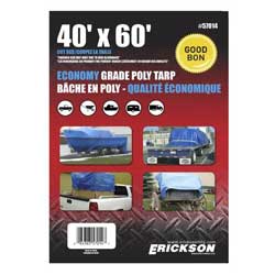 Erickson blue tarp