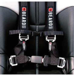 Beard seats buckle style safety harness